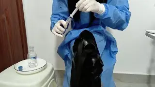 ASMR | Simulated Clinic--Wearing Medical Gloves For Injection Therapy | Trigger Sounds