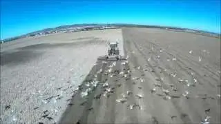 Michael O' Halloran & Sons planting corn. Tillage in Kerry 2015 (Part 1)