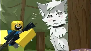 Wildfur life￼ admin 1v1￼ until I become a staff member ￼