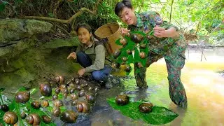 Catch giant stream snails, cook stream snails in the traditional way - Trong and Ton