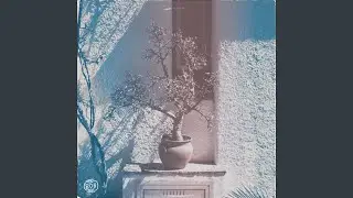 Zen a.m.