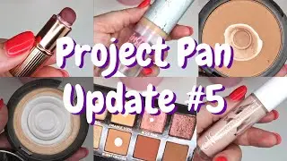 Обновление Project Pan за июнь 2021 г. | Этот месяц мне определённо дался нелегко