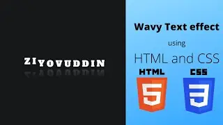 How to make a Wavy Text Animation using HTML and CSS