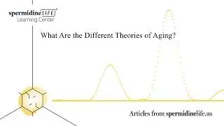What Are the Different Theories of Aging? | Types of Aging | Aging in Place | How to Age Well