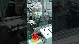 Foam Die Cutting