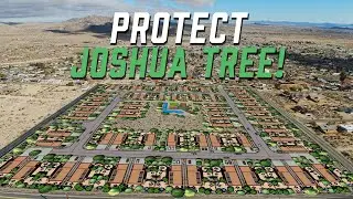 Stop Disastrous LoveMore Ranch Development in Joshua Tree, CA