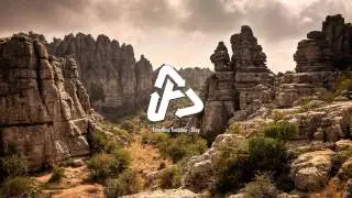 Timeflies Tuesday - Stay