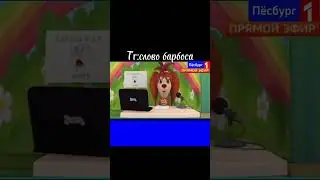 Жестко #ржака #барбоскины #смех #rytp #мем #memes #новости #мемы