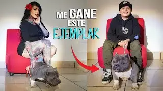 ME GANE UN CACHORRO EN UN EVENTO DE BULLY