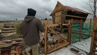 BEDDING For The BIRDS! _ The FREEZE IS COMING! // Whitt Acres
