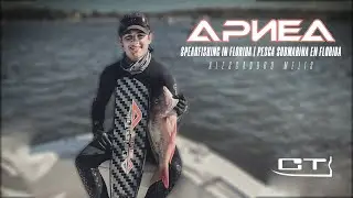 APNEA | PESCASUB. Apnea Titan en Florida by Alessandro Melis (Spearfishing Florida)
