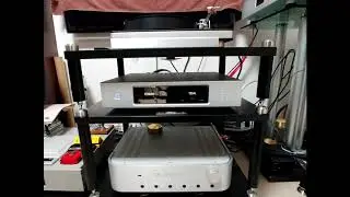 Dynaudio C1 Platinum #1