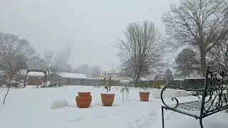 Winter Storm  ❄️ 🌨 😱 🥶 1-24-2026 
