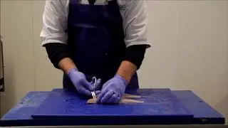 Premier Fish Preparation - Pin-boned Bass