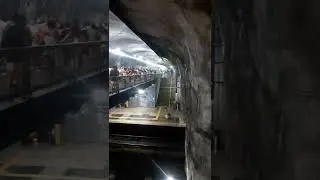 #riodejaneiro #metro #praia #shorts #brasil #brazil  #shortvideo #zonasul #viagem #viajareviver