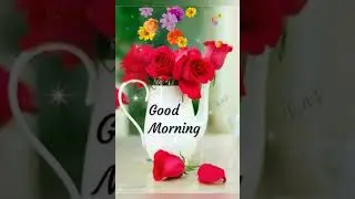 Good Morning WhatsApp status video song sayari short video 👍🌷&hearts;️🙂😍💯