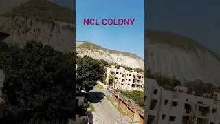 My dream job 🏢 🏡 #ncl #nclcil #viral #trending #youtubeshorts #shortsvideo #ytshorts #shorts #love