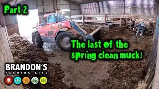 Mucking out the cow shed (Spring) - Part 2