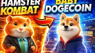 HAMSTER KOMBAT et BABY DOGECOIN EXPLOSE...🥸