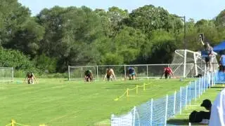 110M Noosa Gift 2015 H6 Shemaiah James 11.83