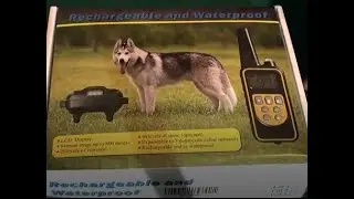 Waterproof and rechargeable F-Color Dog #NomadTech #NomadTech#NomadTech#NomadTechtraining Collar