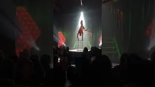 Glitter Freeze - Handstand Act