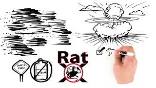 How It Works: RatX