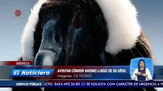 Avistan c&oacute;ndor andino en M&eacute;rida luego de 50 a&ntilde;os &ndash; El Noticiero emisi&oacute;n meridiana 13/10/25