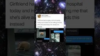 This Story Will Make You Believe in Humanity Again! ❤️✨ #kindness #wholesome #goodnews