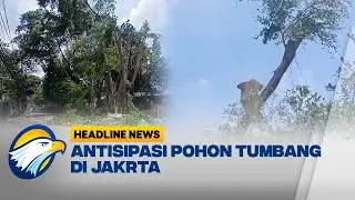 [HEADLINE NEWS, 02/11] Cuaca Ekstrem, Petugas Pertamanan Pangkas Pohon Besar di Kebayoran Baru