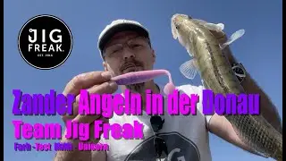 Zander Angeln in der Donau!  Team Jig Freak  Gummifisch Farb-Test MiMi-Unicorn