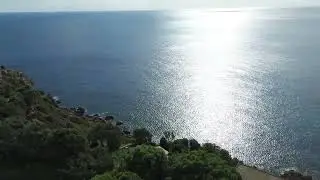 Royal Real Estate Houses for sale
