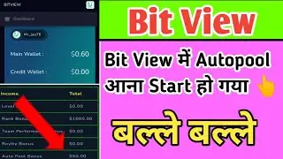Bit View में Autopool Start Ho Gaya 👆 ज्वाइन हो जाओ ऑफर चल रहा है !! Bit View New Update Today 😊