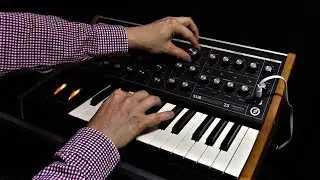 Moog Subsequent 25: 