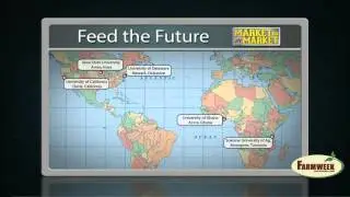 Worldwide effort to fight Newcastle Disease in chickens