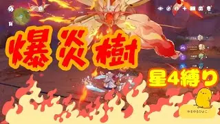 【原神】爆炎樹 久々に倒してみた【星4縛り】