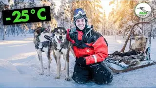 Diese Lappland Gruppenreise lief anders als erwartet?! 🥶 Join The Crew