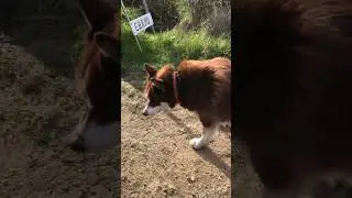 Команда &laquo;Прыжок&raquo;