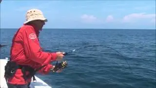 Jigging Costa Rica ! Zenaq Whippy 56-6, Trevallys, Red Snappers etc !