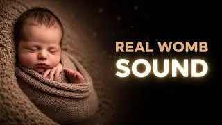 Real Womb Heartbeat & Shushing 💓 8 Hours Deep Brown Noise | Stops Crying & Sleeps All Night
