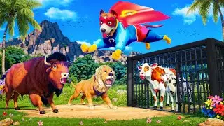 Epic Rescue! Super Dog vs Lion & Bison to Save the Cow Family