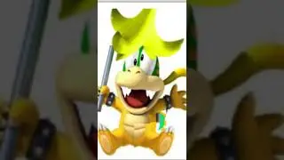Lemmy Matthew Koopa redisign (kammy koopa)