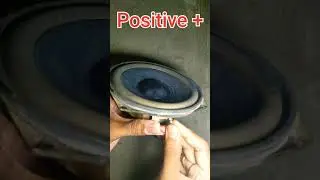Why we should not connect wrong wire to speaker