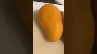 Mango. #shorts #funny #chaos