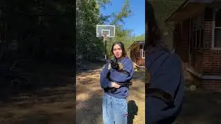 Playing Basketball with my Cat 😺 🏀 #cat #play #basketball #hoopergirl