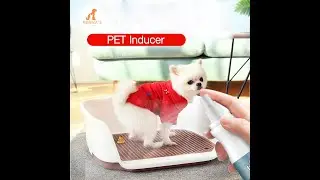 Renna's Pet Inducer Spray Cat Puppy Dog Toilet Urinary Urine Training Potty Training Pomeranian150ml