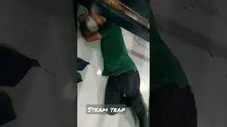 steam trap change work