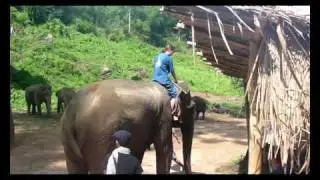 Mahout training Elcke