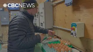 Yukon farmers' plow on despite extreme cold