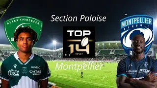 Match de Top 14  Section Paloise Montpellier